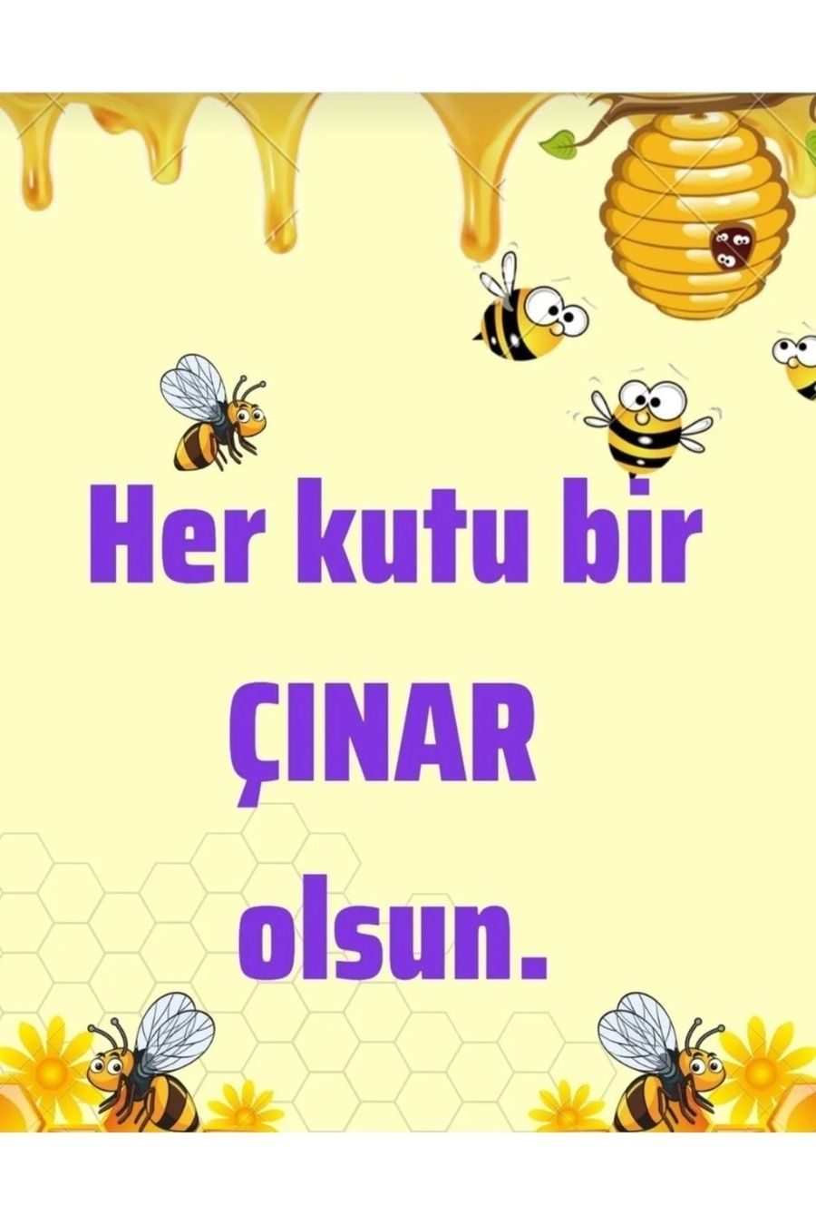 Proca Propolis Ekstraktı Suda Çözünür Damla 30ml 2'li Paket görseli 2