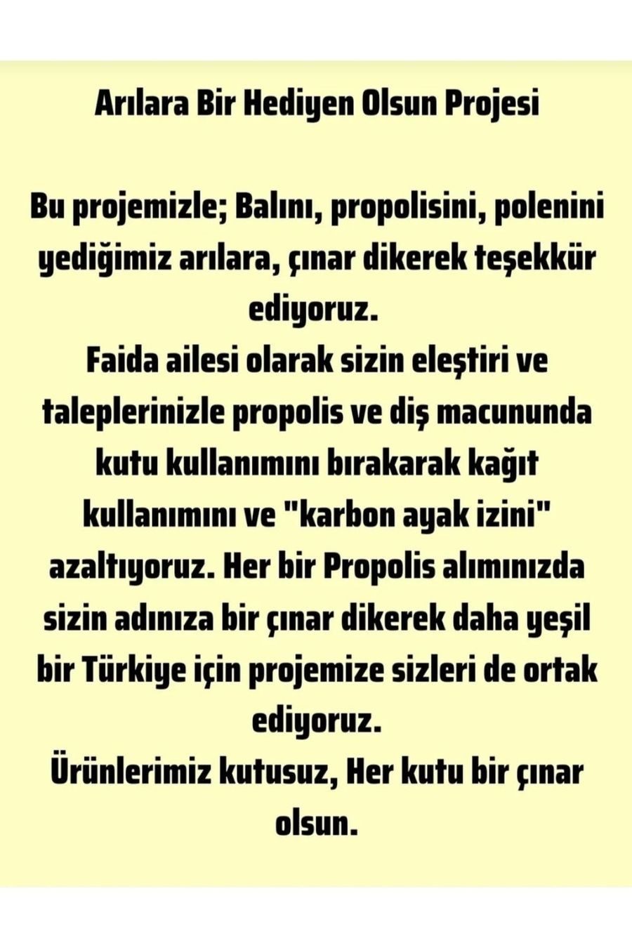 Proca Propolis Ekstraktı Suda Çözünür Damla 30ml 2'li Paket görseli 3
