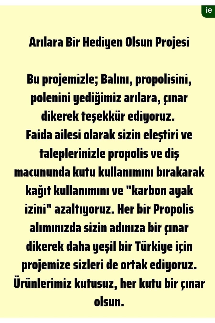 Proca Propolis Ekstraktı Suda Çözünür Damla 30ml 3'lü Paket görseli 2