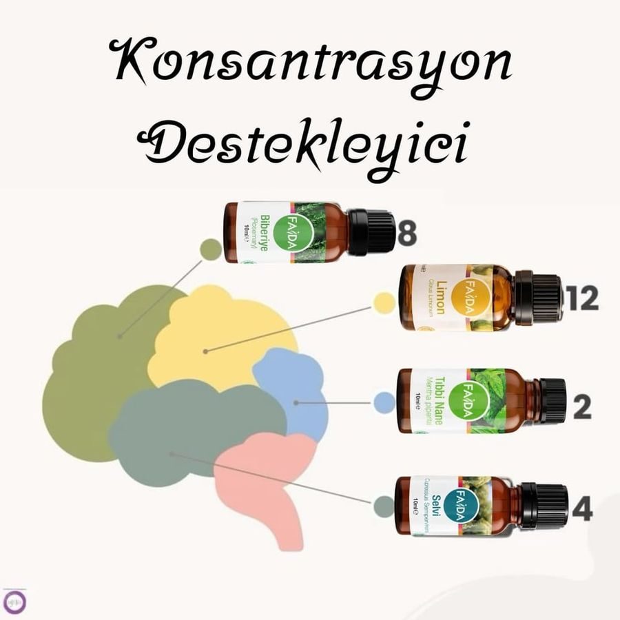 Konsantrasyon Destekleyici